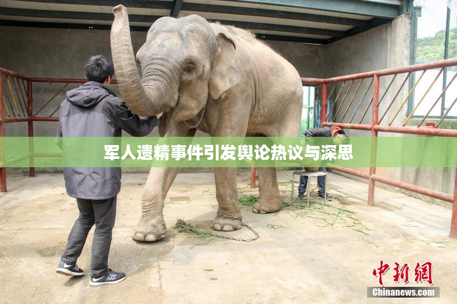 军人遗精事件引发舆论热议与深思
