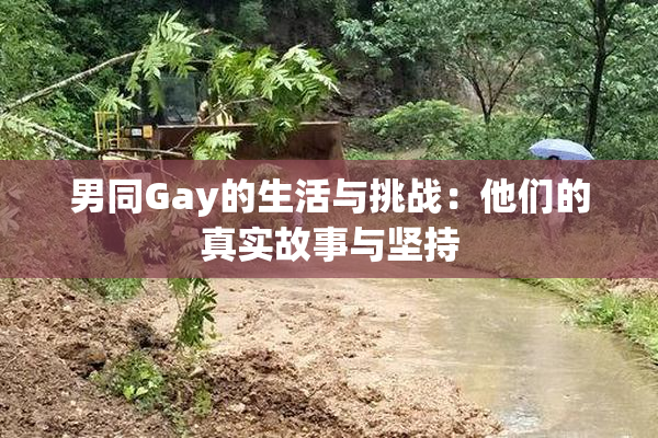 男同Gay的生活与挑战：他们的真实故事与坚持