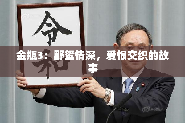 金瓶3：野鸳情深，爱恨交织的故事