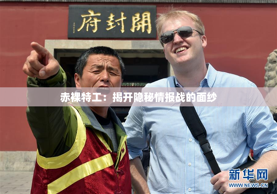 赤裸特工：揭开隐秘情报战的面纱