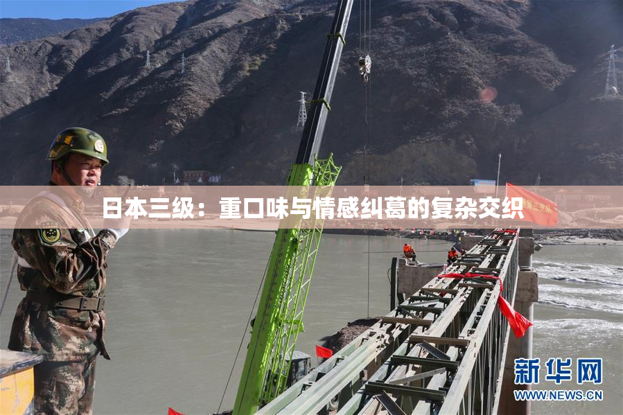 日本三级：重口味与情感纠葛的复杂交织