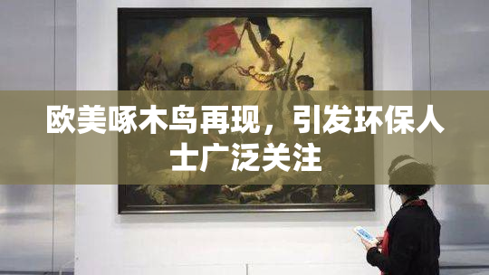 欧美啄木鸟再现，引发环保人士广泛关注