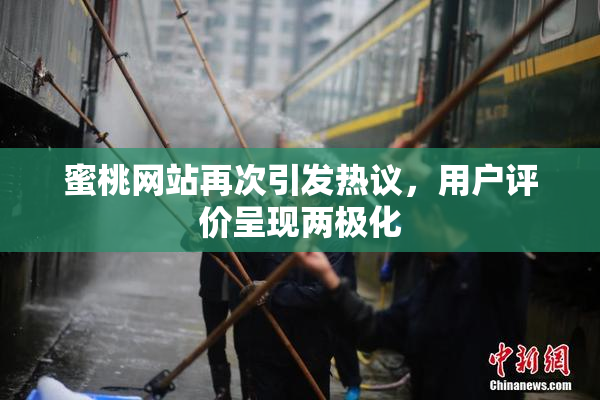 蜜桃网站再次引发热议，用户评价呈现两极化