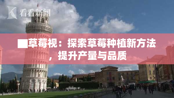 ▇草莓视：探索草莓种植新方法，提升产量与品质