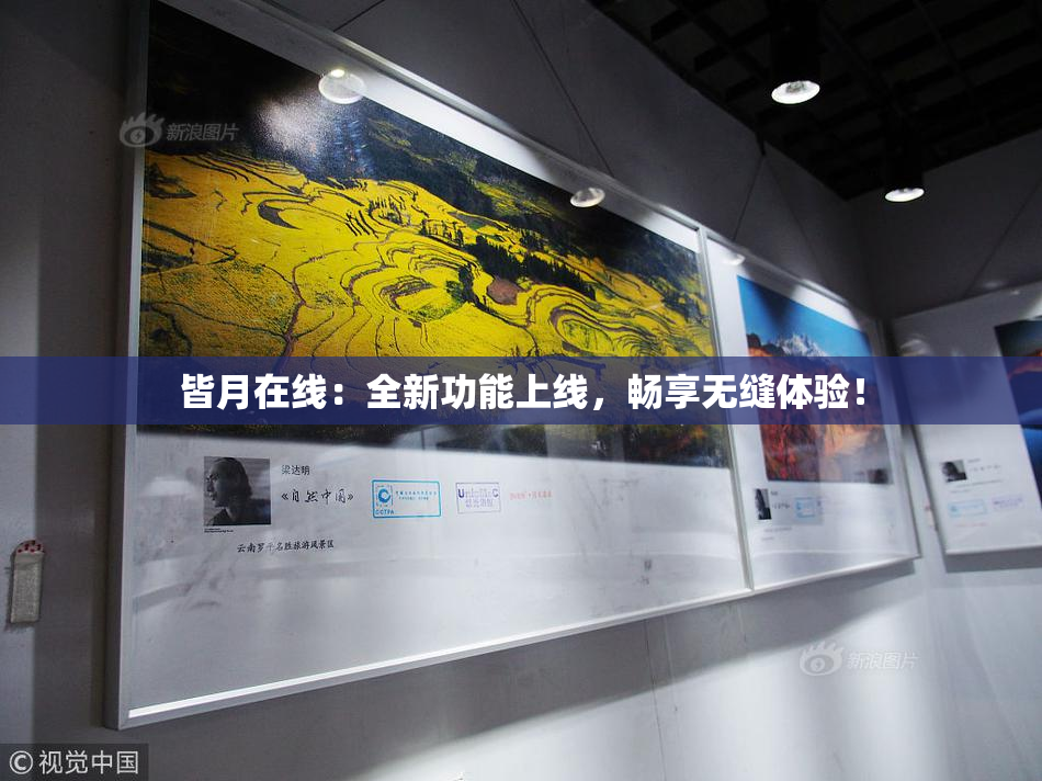 皆月在线：全新功能上线，畅享无缝体验！