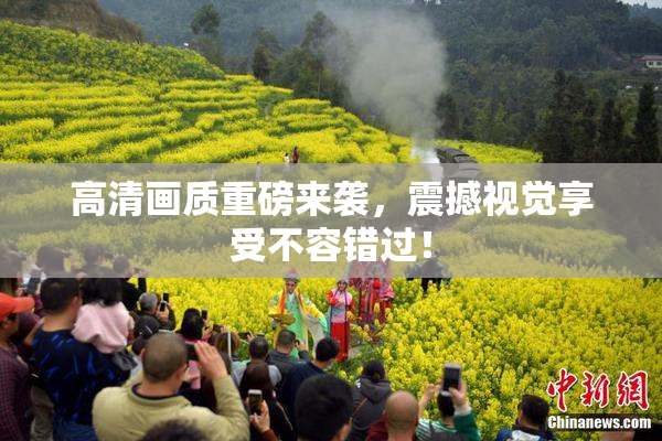 高清画质重磅来袭，震撼视觉享受不容错过！