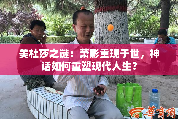 美杜莎之谜：萧影重现于世，神话如何重塑现代人生？