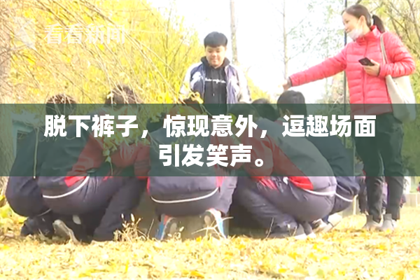 脱下裤子，惊现意外，逗趣场面引发笑声。