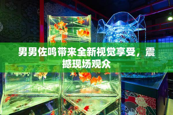 男男佐鸣带来全新视觉享受，震撼现场观众