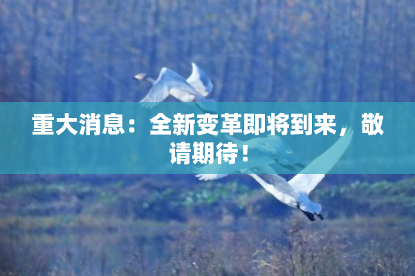 重大消息：全新变革即将到来，敬请期待！
