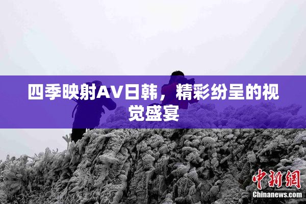 四季映射AV日韩，精彩纷呈的视觉盛宴