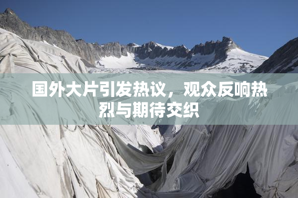 国外大片引发热议，观众反响热烈与期待交织