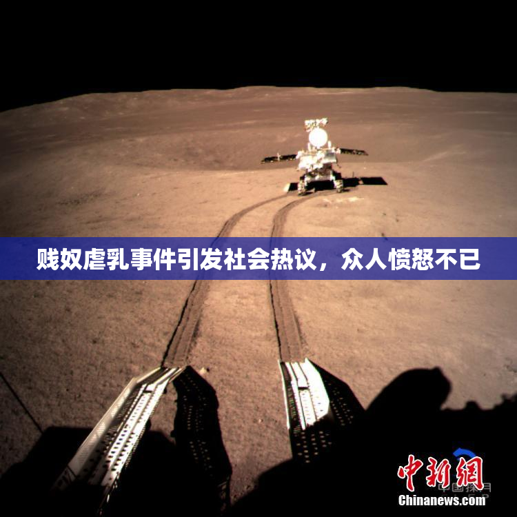 贱奴虐乳事件引发社会热议，众人愤怒不已