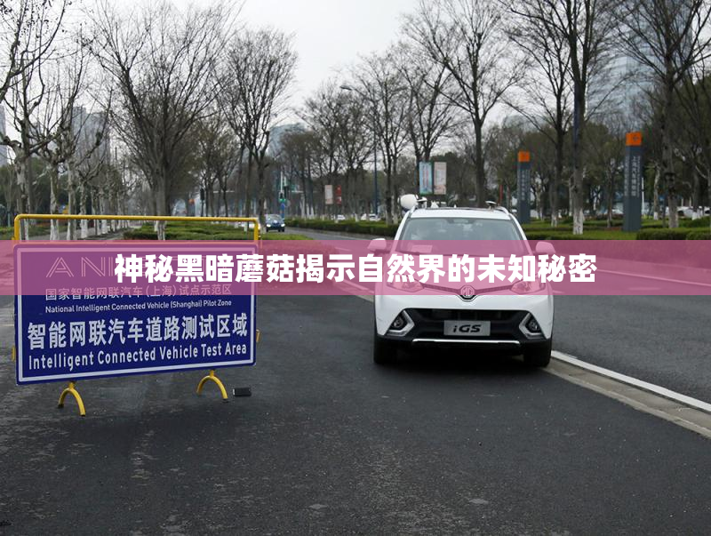 神秘黑暗蘑菇揭示自然界的未知秘密