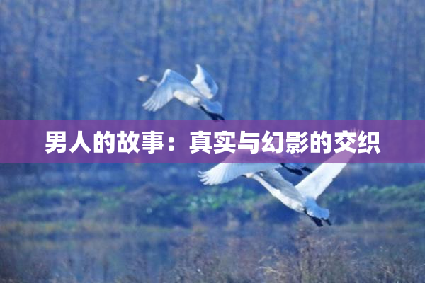 男人的故事：真实与幻影的交织