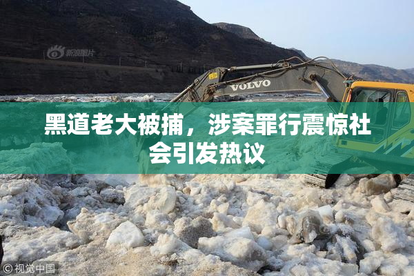 黑道老大被捕，涉案罪行震惊社会引发热议