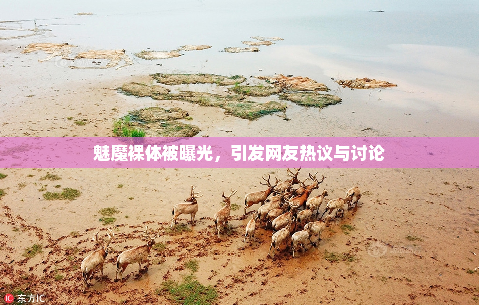 魅魔裸体被曝光，引发网友热议与讨论