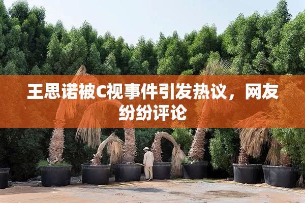 王思诺被C视事件引发热议，网友纷纷评论