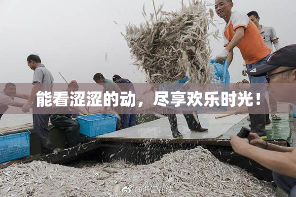 能看涩涩的动，尽享欢乐时光！