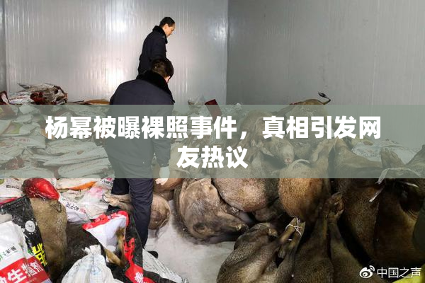杨幂被曝裸照事件，真相引发网友热议