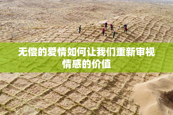 无偿的爱情如何让我们重新审视情感的价值