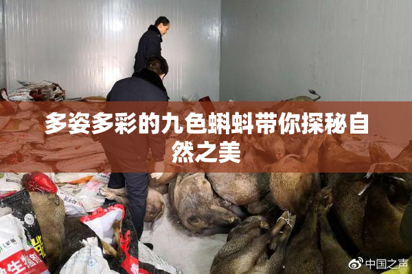 多姿多彩的九色蝌蚪带你探秘自然之美