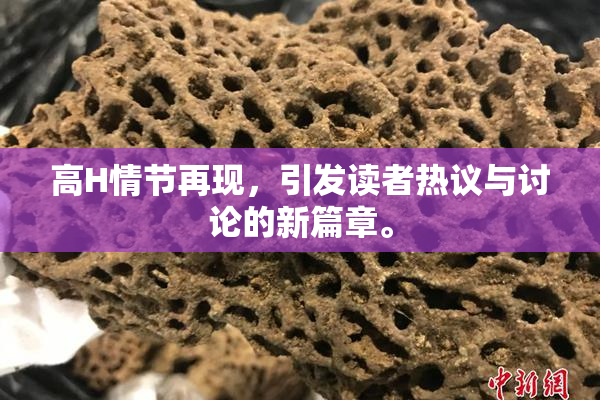 高H情节再现，引发读者热议与讨论的新篇章。
