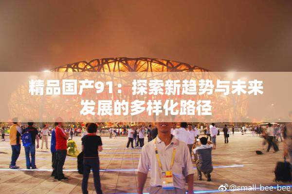精品国产91：探索新趋势与未来发展的多样化路径