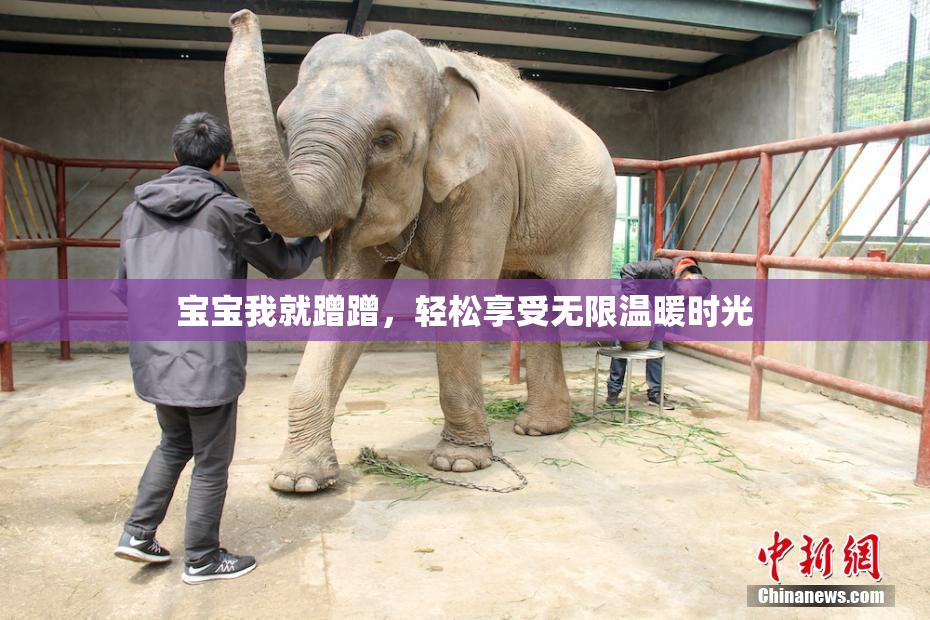 宝宝我就蹭蹭，轻松享受无限温暖时光