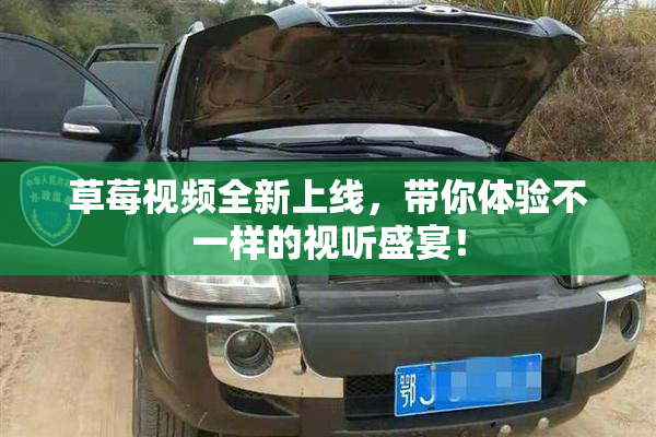 草莓视频全新上线，带你体验不一样的视听盛宴！