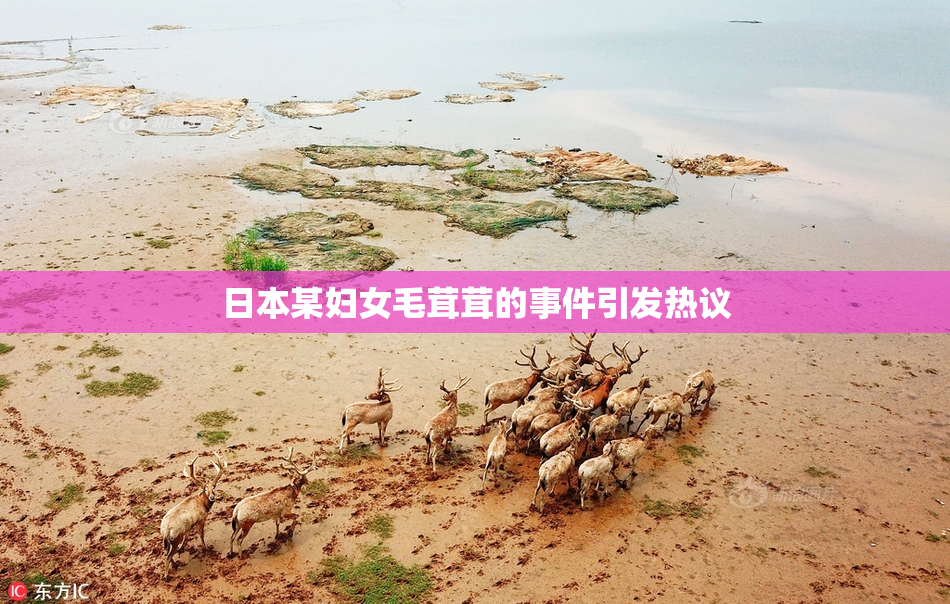 日本某妇女毛茸茸的事件引发热议