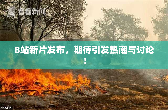 B站新片发布，期待引发热潮与讨论！
