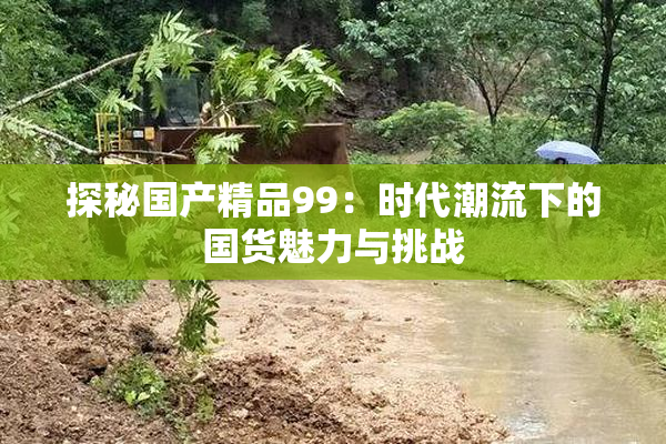 探秘国产精品99：时代潮流下的国货魅力与挑战