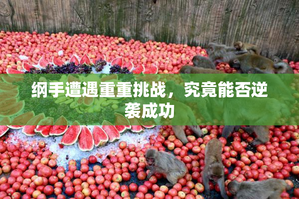 纲手遭遇重重挑战，究竟能否逆袭成功