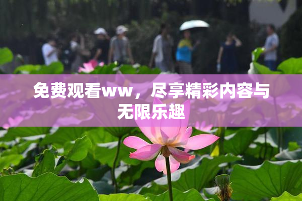 免费观看ww，尽享精彩内容与无限乐趣