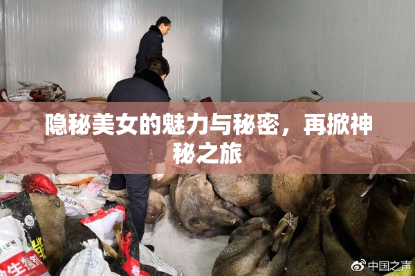 隐秘美女的魅力与秘密，再掀神秘之旅