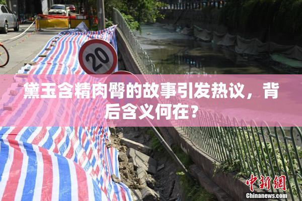 黛玉含精肉臀的故事引发热议，背后含义何在？