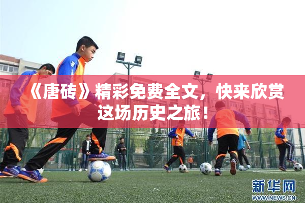 《唐砖》精彩免费全文，快来欣赏这场历史之旅！