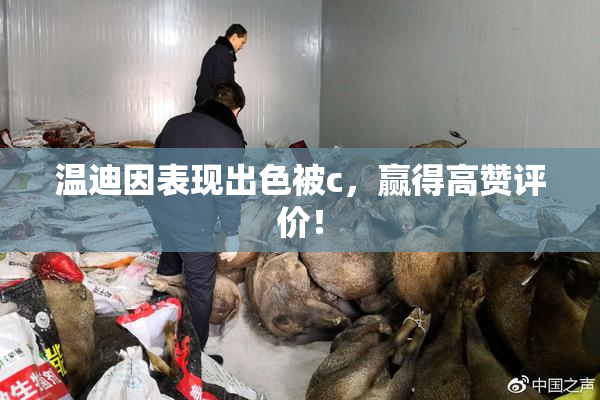 温迪因表现出色被c，赢得高赞评价！