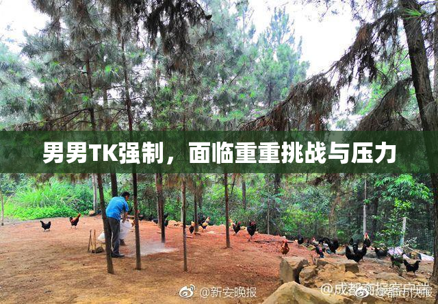 男男TK强制，面临重重挑战与压力