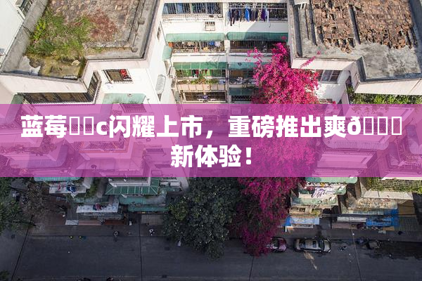蓝莓❌‌c闪耀上市，重磅推出爽🔞新体验！