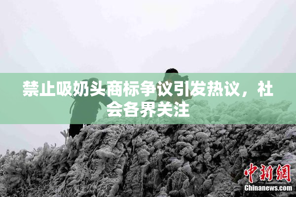 禁止吸奶头商标争议引发热议，社会各界关注