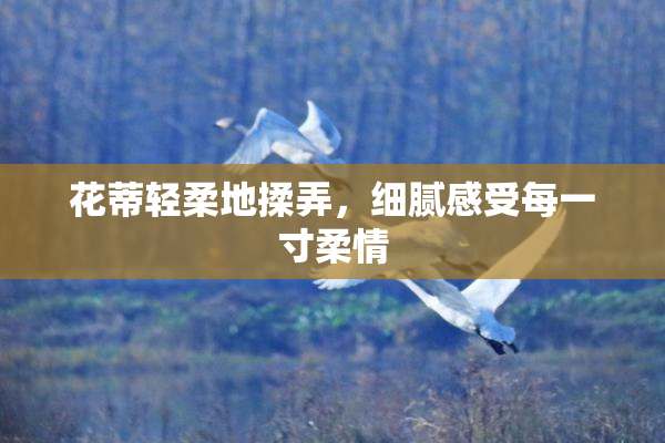 花蒂轻柔地揉弄，细腻感受每一寸柔情