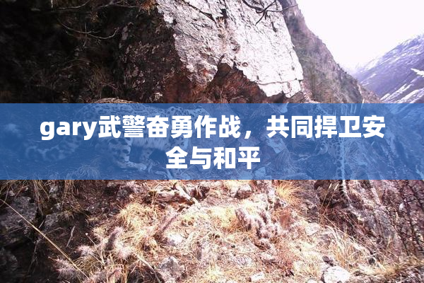 gary武警奋勇作战，共同捍卫安全与和平