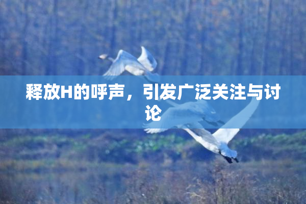 释放H的呼声，引发广泛关注与讨论