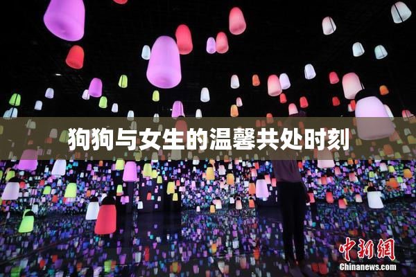 狗狗与女生的温馨共处时刻