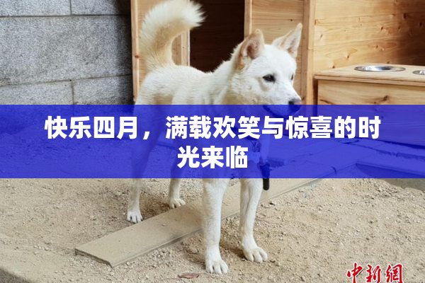 快乐四月，满载欢笑与惊喜的时光来临