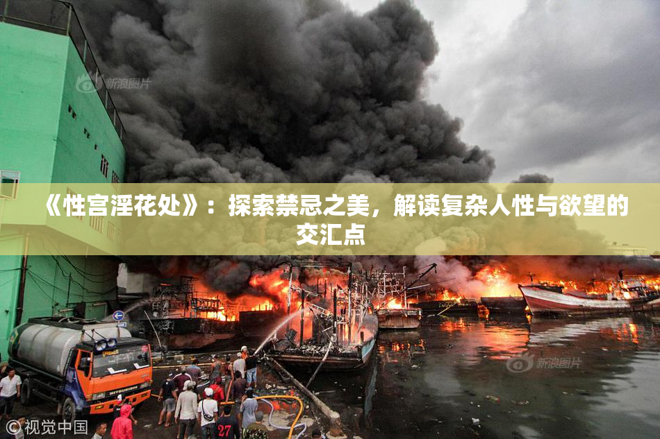 《性宫淫花处》：探索禁忌之美，解读复杂人性与欲望的交汇点