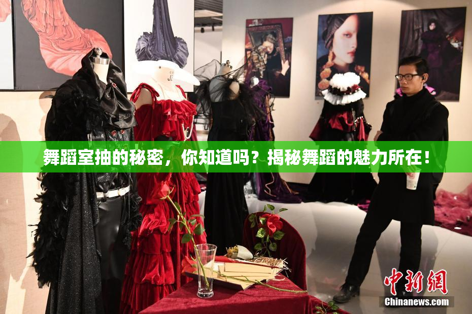 舞蹈室抽的秘密，你知道吗？揭秘舞蹈的魅力所在！