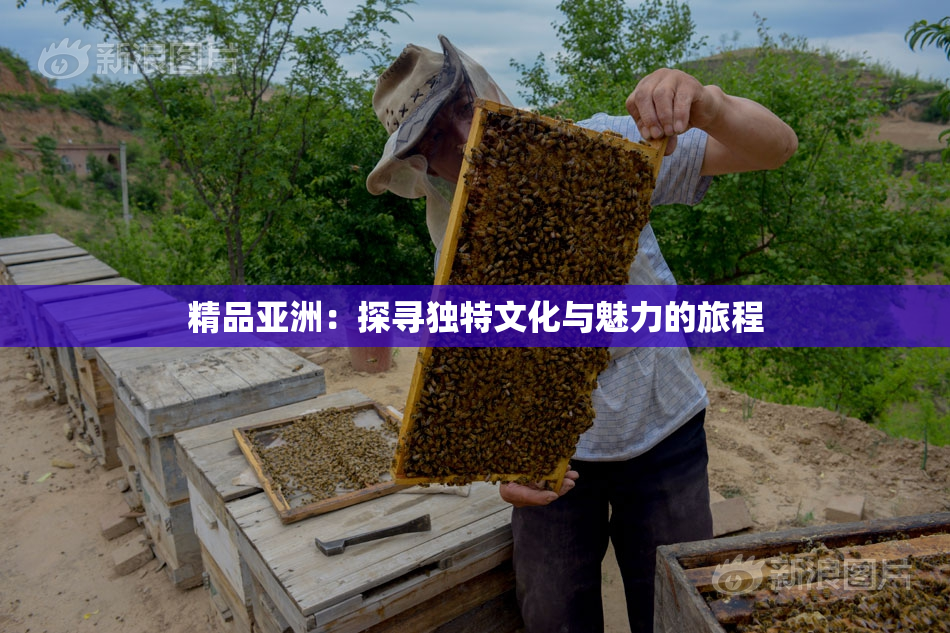 精品亚洲：探寻独特文化与魅力的旅程